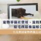 台北桃園寵物禮儀公司推薦：寵物葬儀社費用、流程解析，給毛孩最後溫暖告別