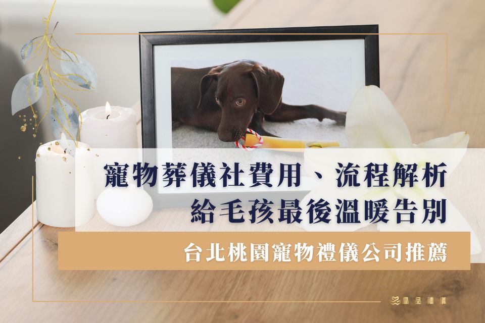 台北桃園寵物禮儀公司推薦：寵物葬儀社費用、流程解析，給毛孩最後溫暖告別