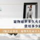 寵物火化前主人必看：寵物過世多久火化？費用多少錢？5點注意事項一次看