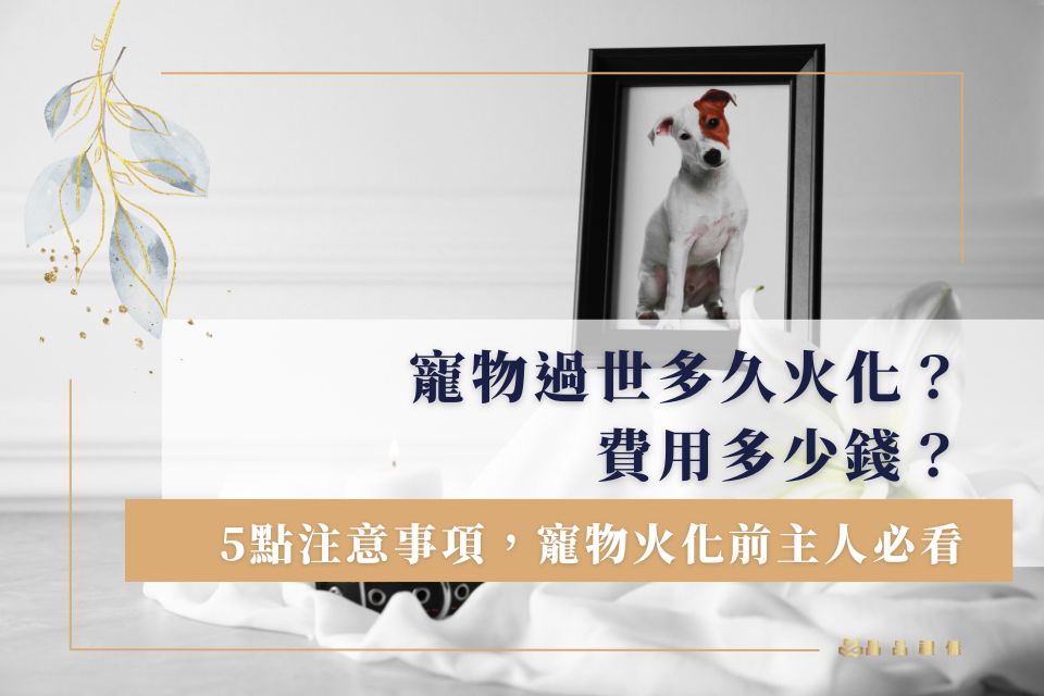 寵物火化前主人必看：寵物過世多久火化？費用多少錢？5點注意事項一次看